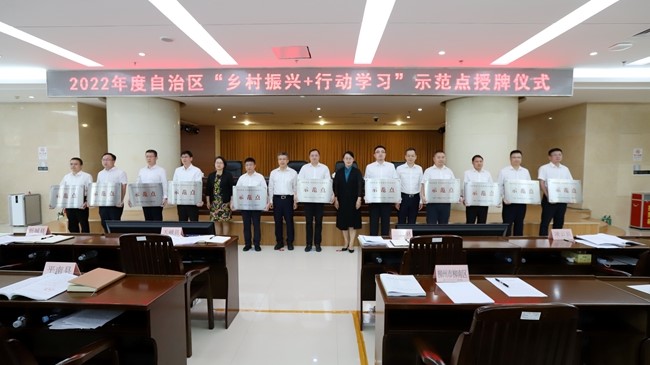 广西桂平市马皮乡村振兴规划试点,广西乡村振兴工作做得比较好的村