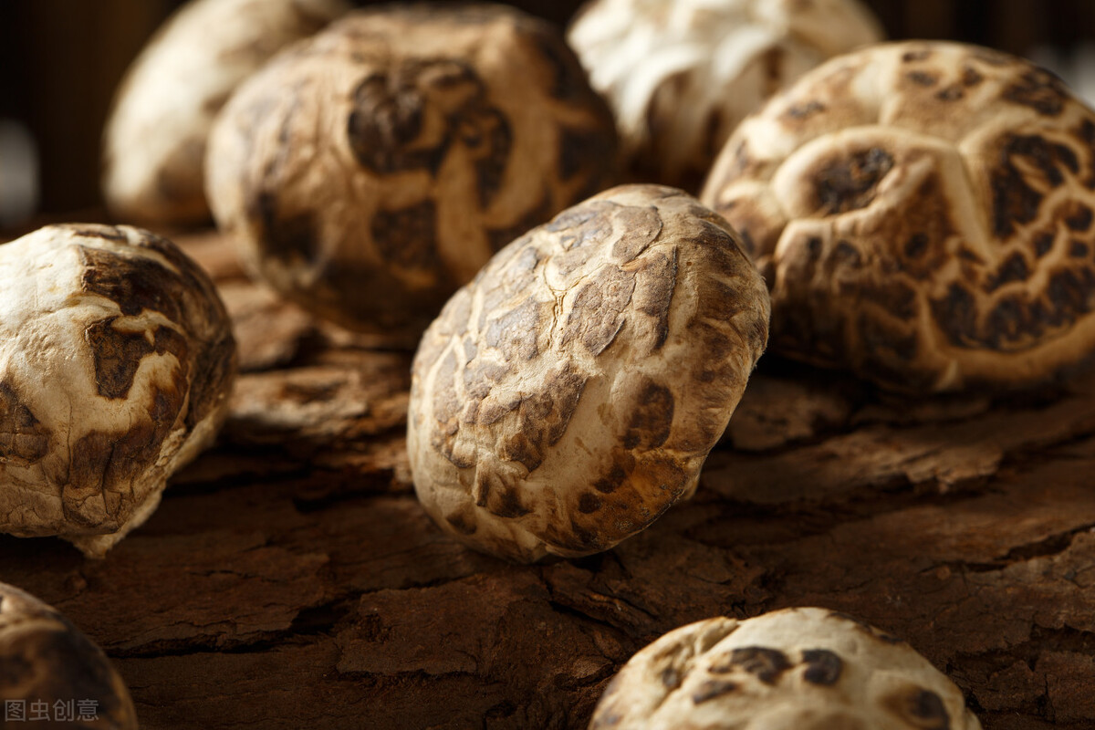 创业失败是继续创业还是上班,创业失败想回到原单位上班