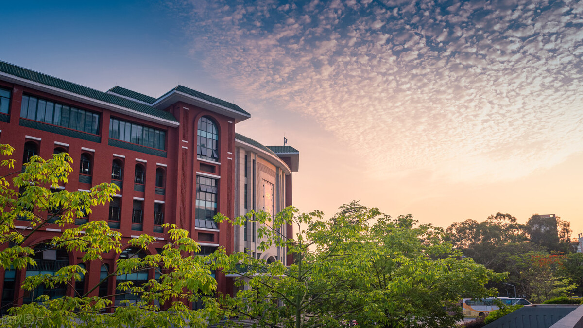 文化市场营销策划书,校园市场营销策划书