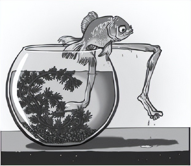 供应链管理：高成本、高库存、重资产的解决方案刘宝红第一篇