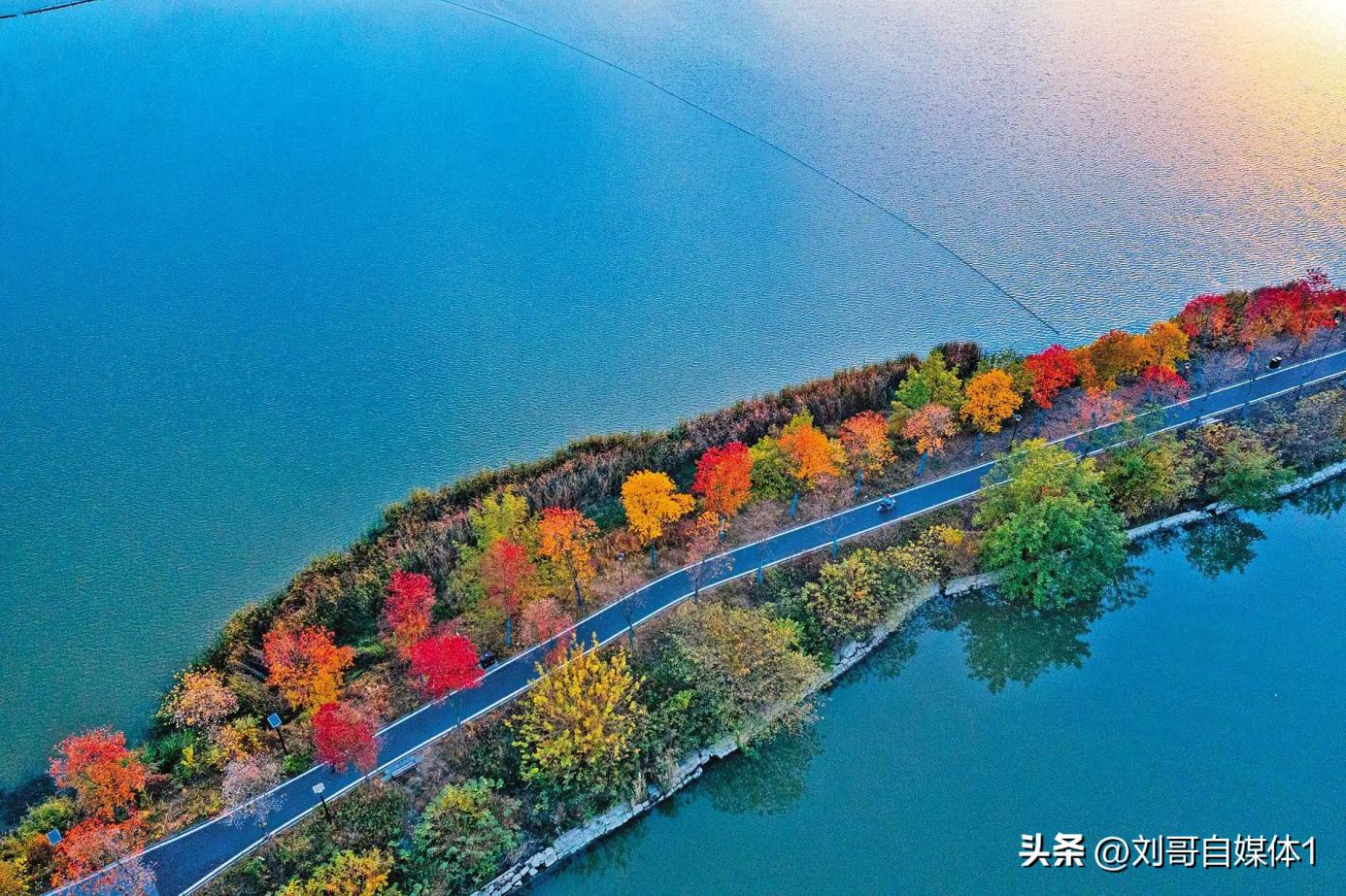 置身清雅幽静之地,武汉万科隐秀金银湖