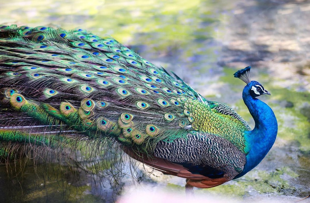 人眼的像素有5.76亿却看不到未来,人眼有180万像素却始终看不透人心