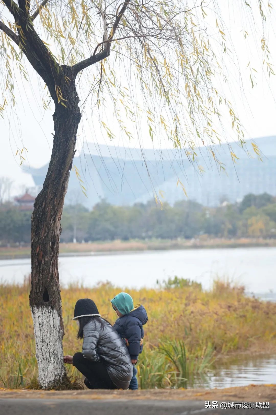 成都值得一游的公园,夏季成都宝藏公园