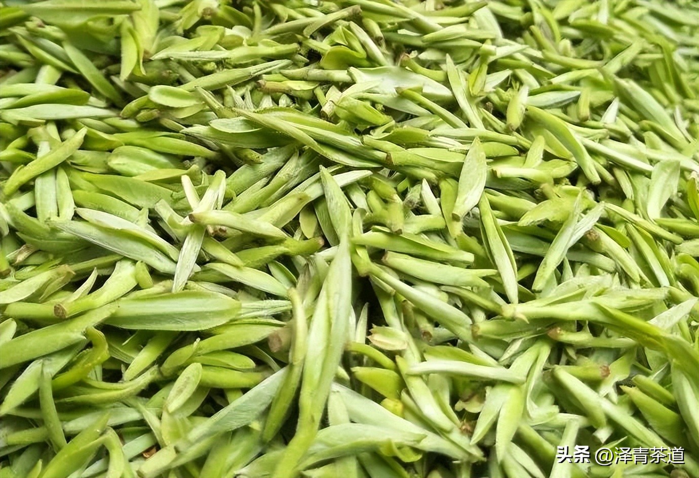 盖碗适合冲泡的六大茶类,中国茶道之六大茶类冲泡