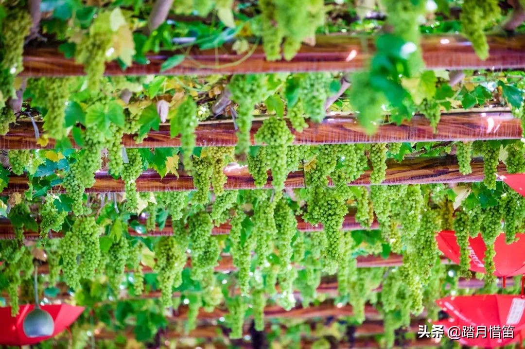 十大aaaaa级景区旅游攻略,最新最全的全国aaaaa景区