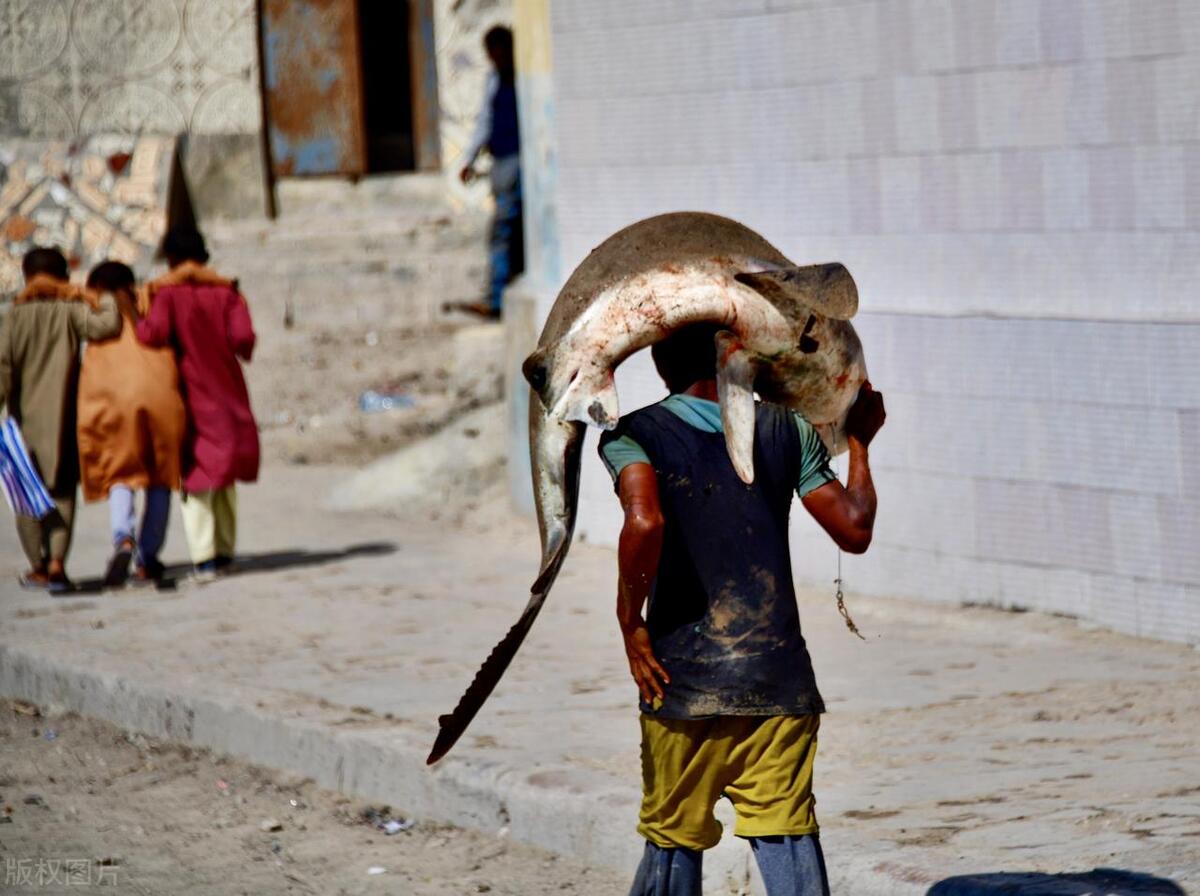 从头打到尾的激烈枪战电影,环绕立体声最好的枪战电影