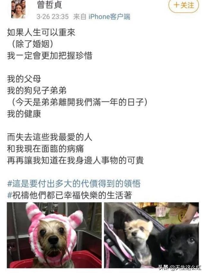 张庭被骂之后开播了吗,张庭被骂后第二天还在直播吗