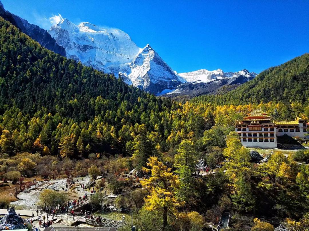 火出了圈,甘孜文旅局长化身侠客火出圈