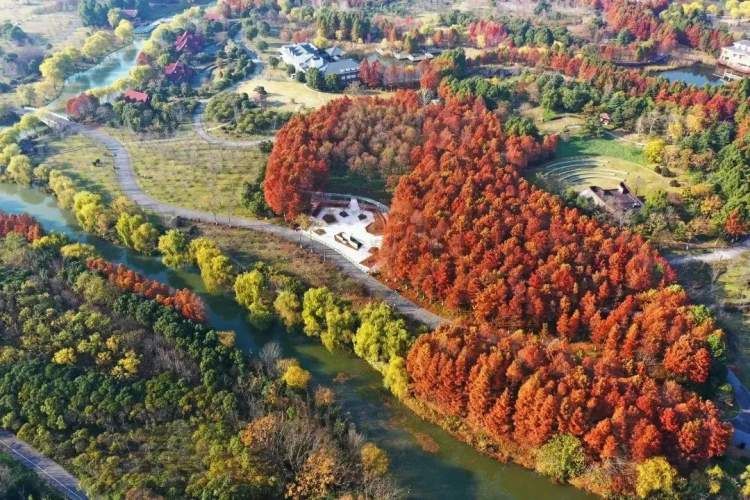 顾村公园冬季好玩吗,顾村公园游玩线路攻略一日游