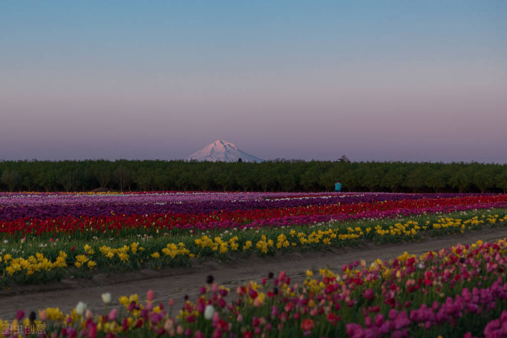 独处可以做的70件小事,独处让你悄悄逆袭