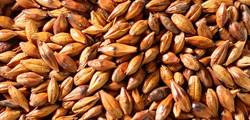 上新|草本呵护晚安汤,告别难眠的夜