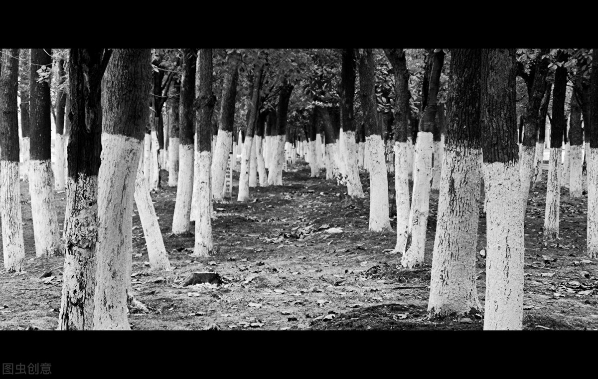 励志语录人生感悟句子图片,励志语录人生感悟学生