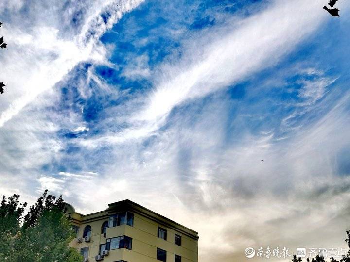 陈曦心理咨询师电视剧,陈曦温暖的照片