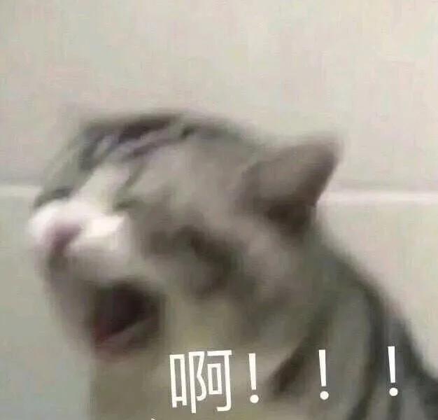 给你花花表情包,给你花花表情包啥意思