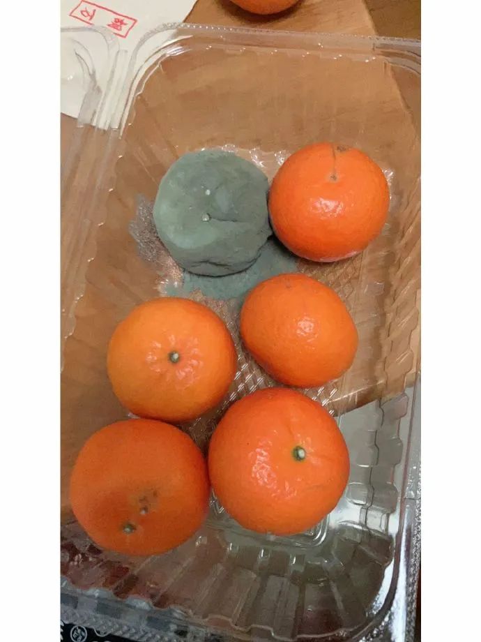 西瓜奇葩搞笑图片,超级搞笑吃西瓜笑的肚子都疼了