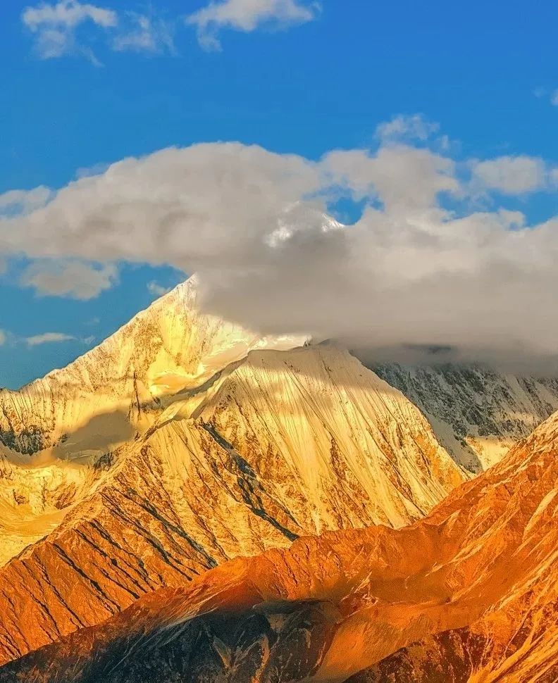 火出了圈,甘孜文旅局长化身侠客火出圈