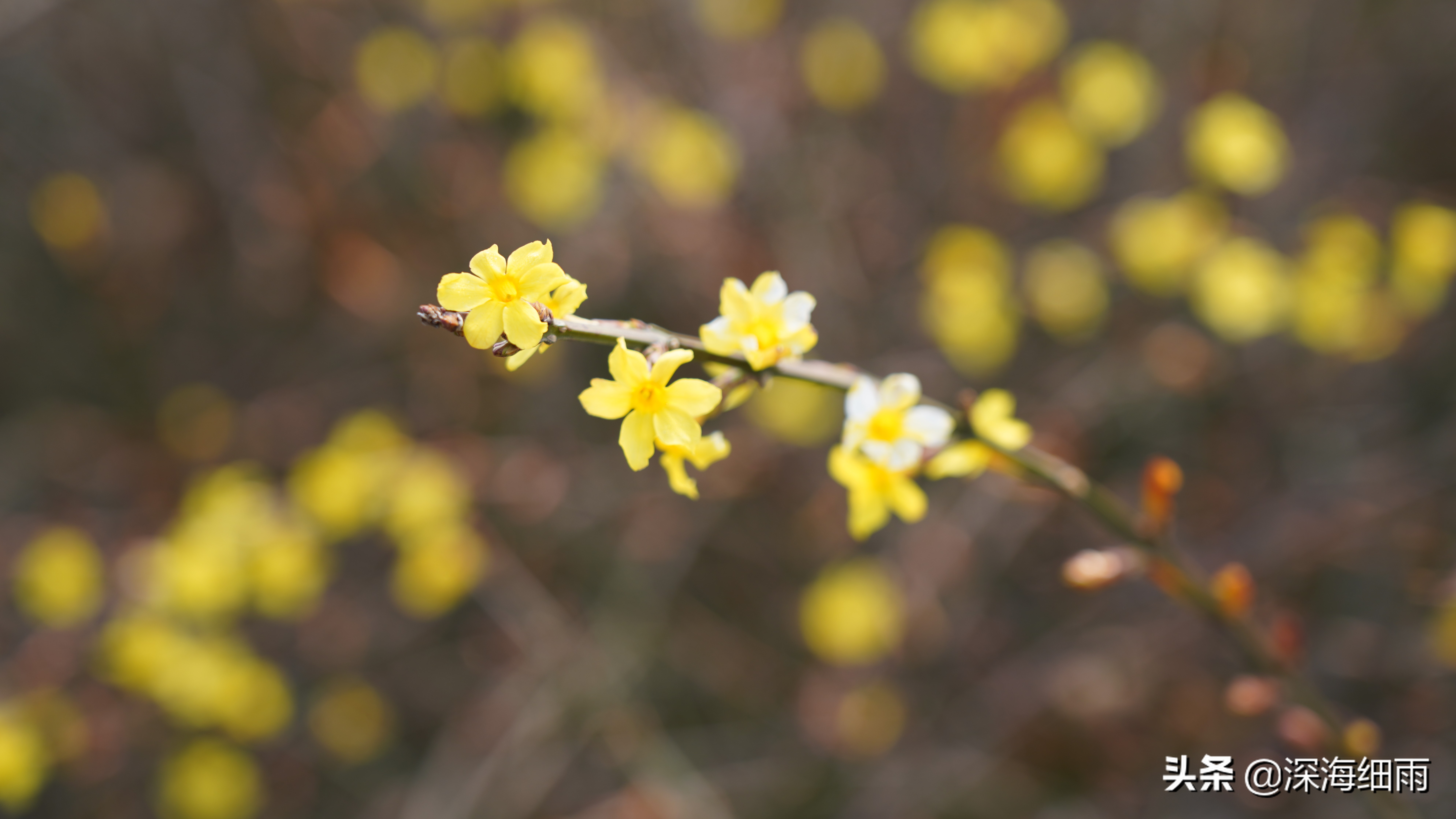健身烧钱吗,健身烧钱严重