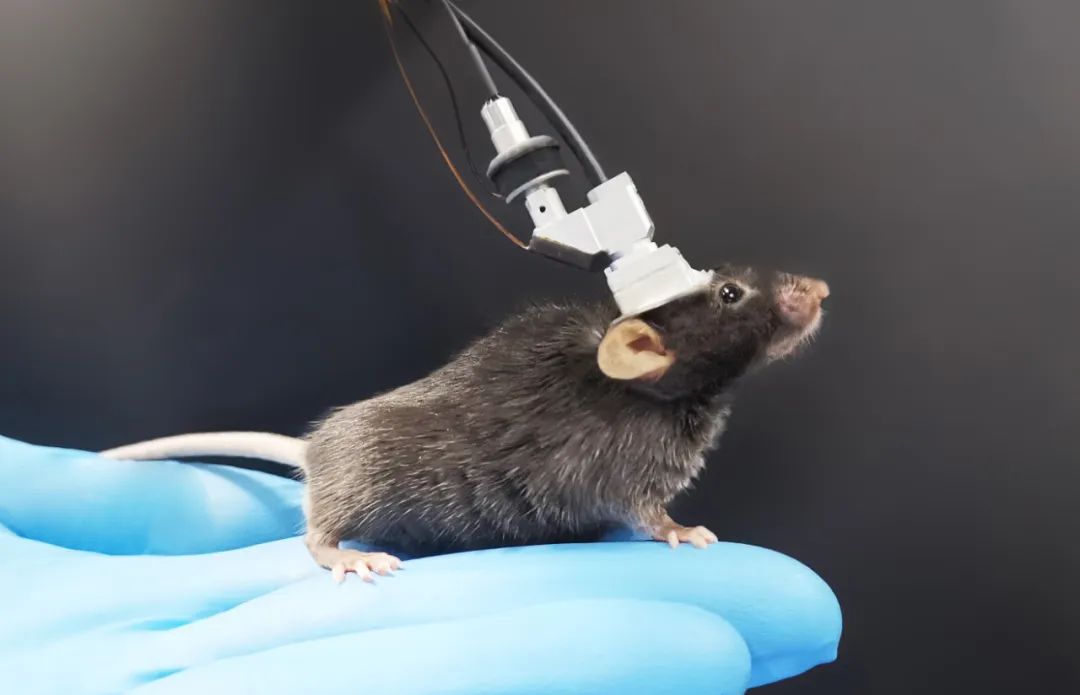 当时“全世界都不看好”，如今他们实现了多个首次！