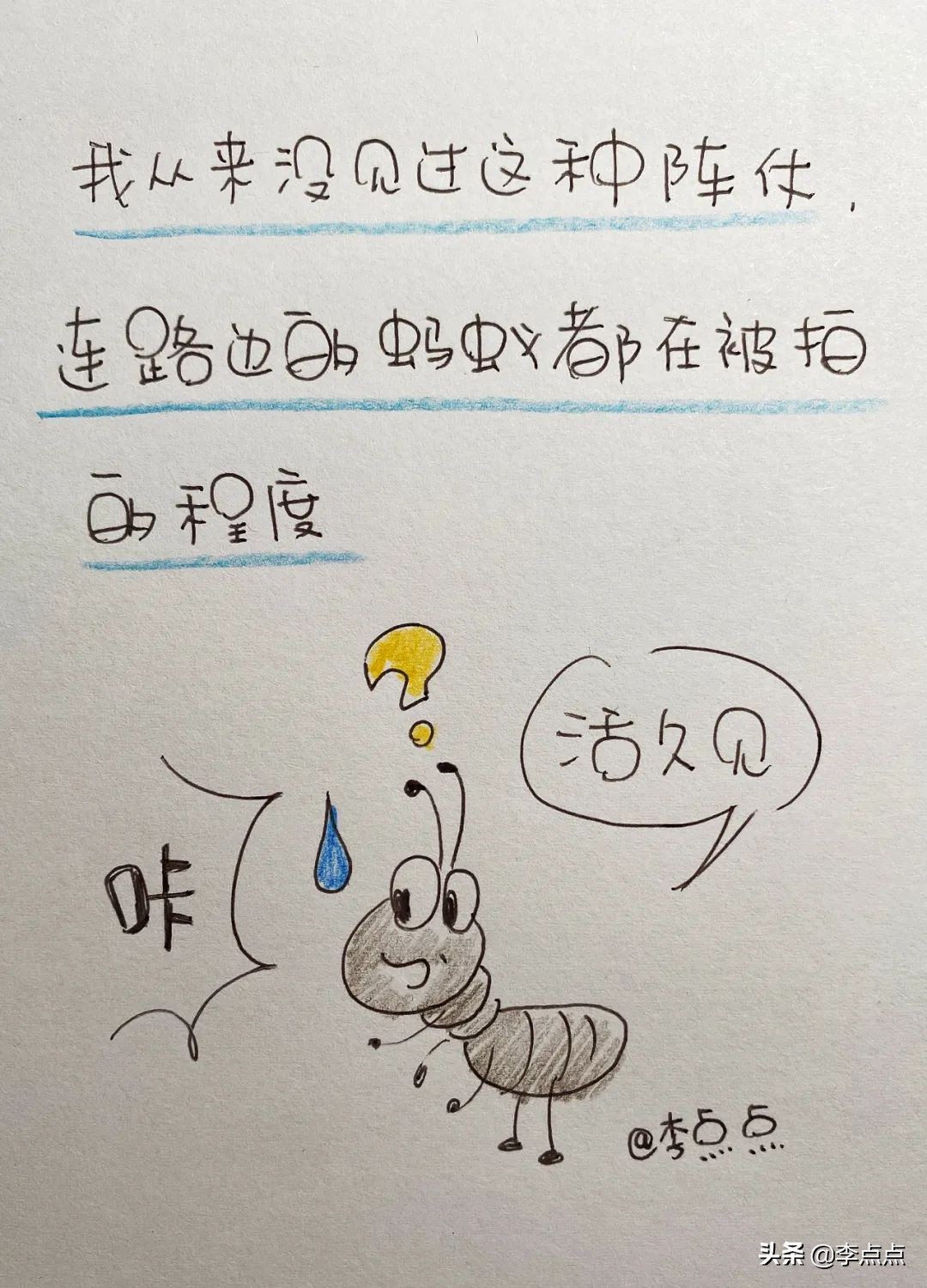 解封第一天拍摄的视频,解封第一天的记录