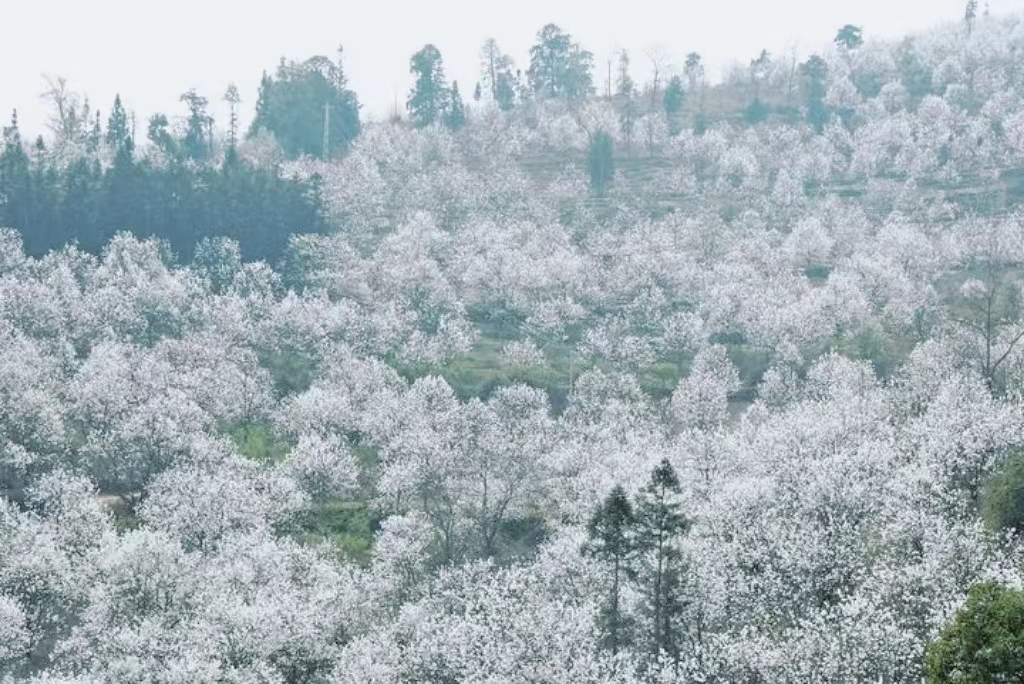 有一种生活叫云南的怒江,有一种生活叫云南生活发布会图片