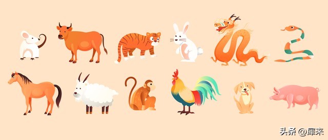 提到十二生肖你会想到什么,十二生肖和谁有意思