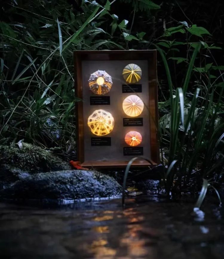 男生必备黑科技小玩意100元以内,黑科技小玩意男生100元以内