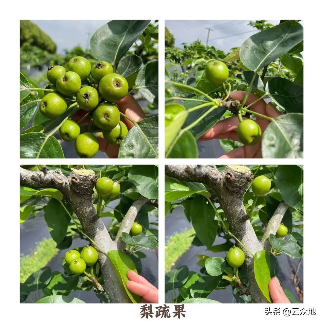 <html>
<head><title>502BadGateway</title></head>
<body>
<center><h1>502BadGateway</h1></center>
<hr><center>nginx</center>
</body>
</html>
<!--apaddingtodisableMSIEandChromefriendlyerrorpage-->
<!--apaddingtodisableMSIEandChromefriendlyerrorpage-->
<!--apaddingtodisableMSIEandChromefriendlyerrorpage-->
<!--apaddingtodisableMSIEandChromefriendlyerrorpage-->
<!--apaddingtodisableMSIEandChromefriendlyerrorpage-->
<!--apaddingtodisableMSIEandChromefriendlyerrorpage-->
