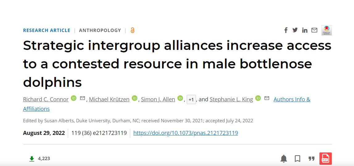 海豚繁殖能力如何,海豚怎样进行繁衍