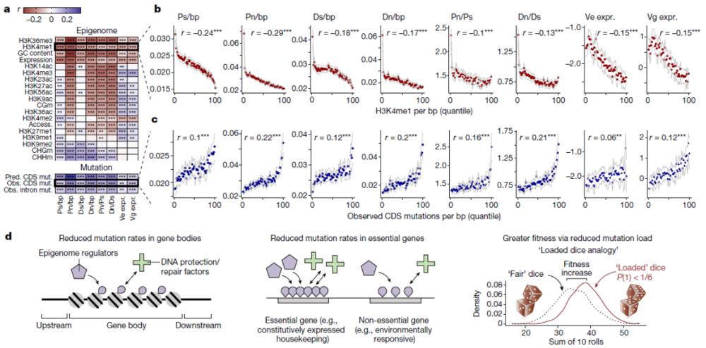深度解析达尔文进化论,达尔文进化论被推翻的观点