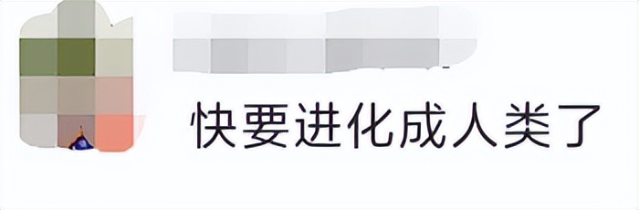 鎾炶劯鏂硅劯鐚村瓙鐨勫コ缃戠孩,鏂硅劯鐚村瓙妯′豢浜虹殑琛ㄦ儏