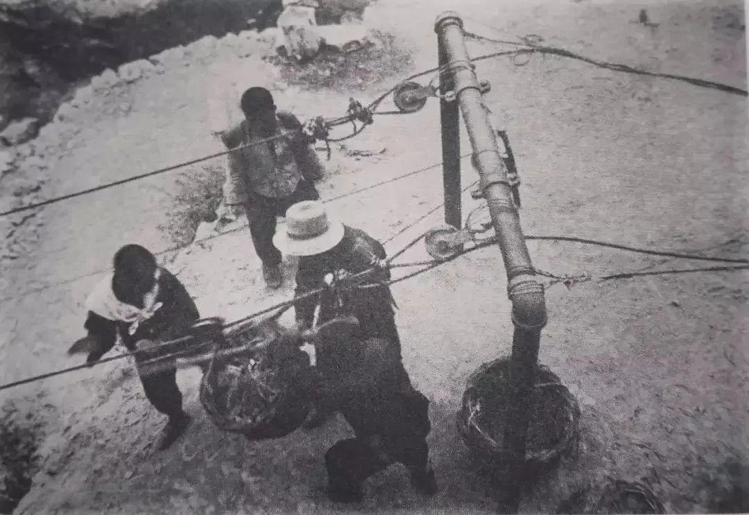 失踪78年的北京人头盖骨就藏在日坛树林里？