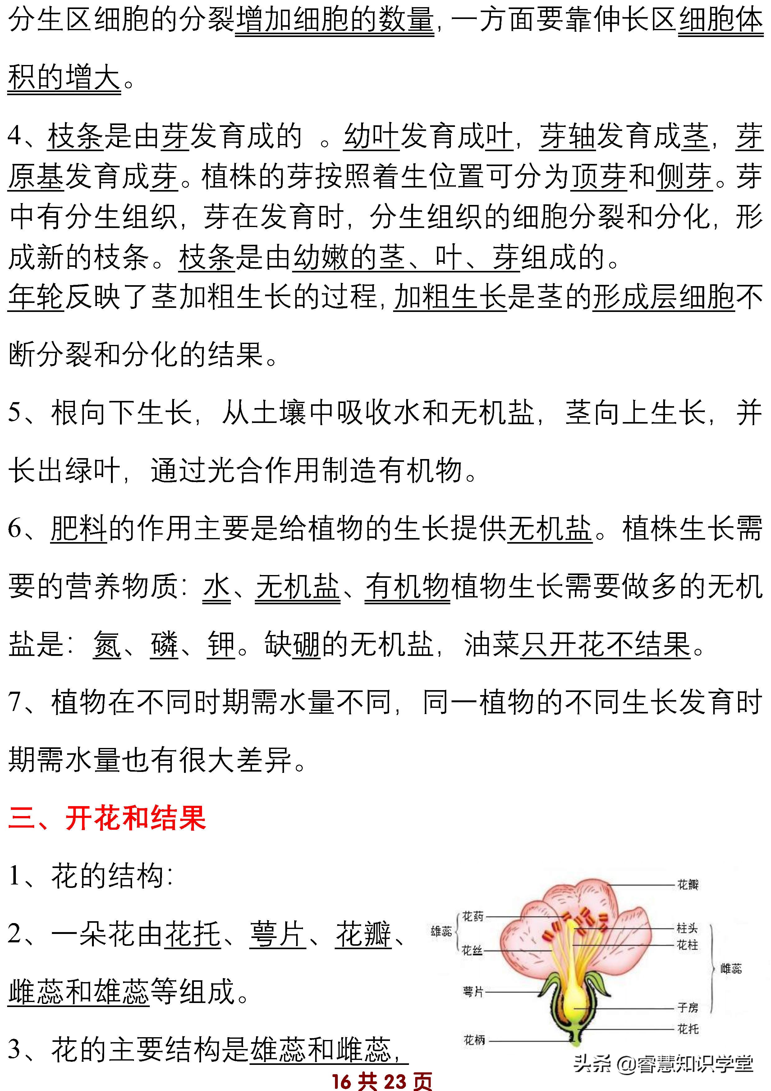 初中七年级生物知识点归纳总结,七年级上下册生物必考知识点