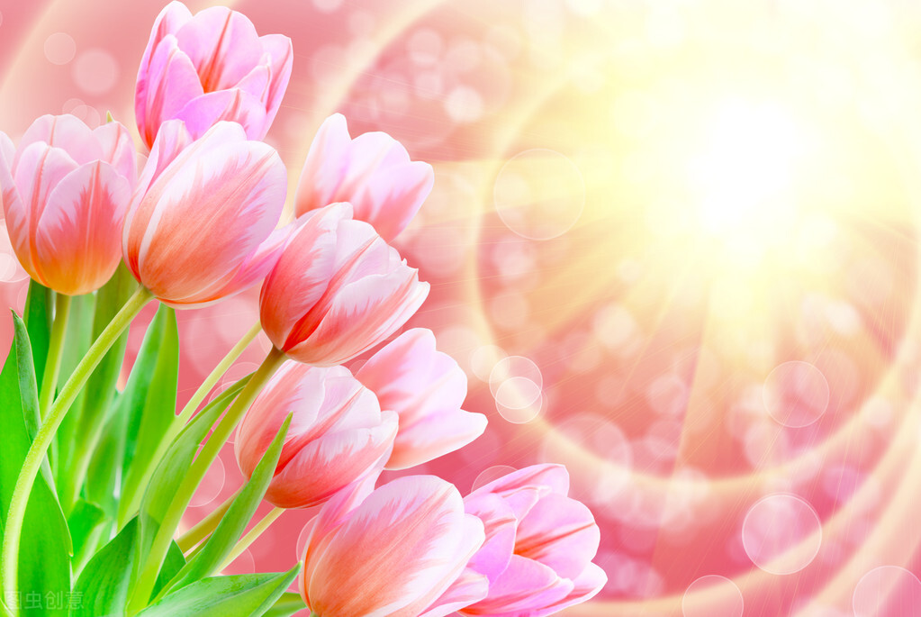 简短有创意的学生评语,每日学生评语