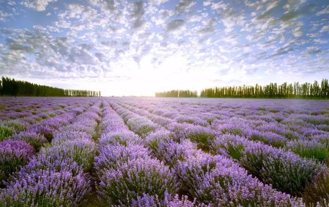 这条惊艳奇绝的公路,行走在天山脊梁上的最美景观公路