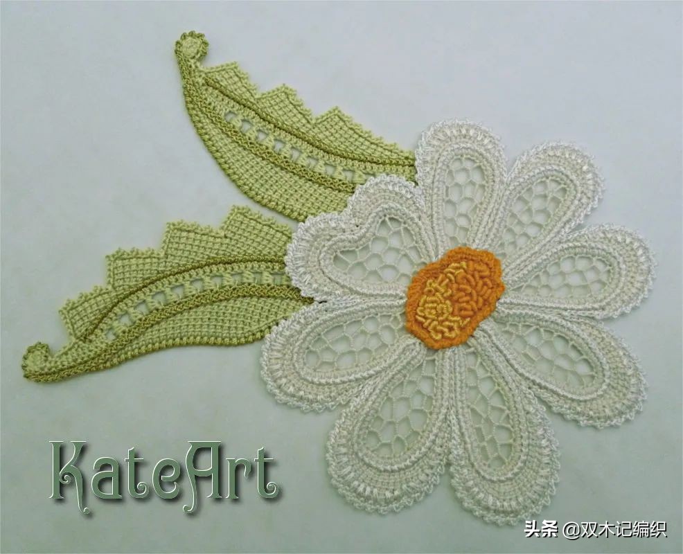 爱尔兰花和叶子大全，最令人心动的钩编之法