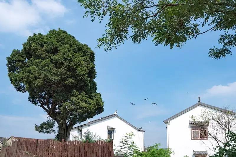 江苏的冷门景点排名,江苏比较冷门但是好玩的地方