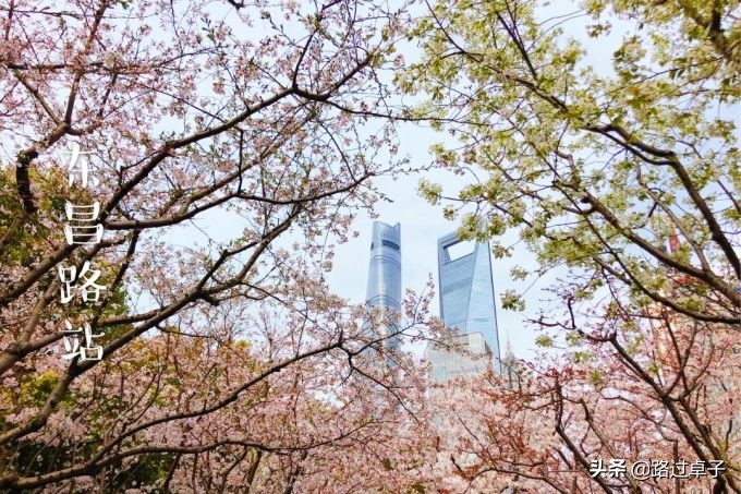 上海地铁旅游景点攻略,上海地铁打卡攻略