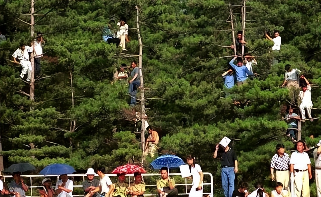 新的世界杯和回不去的昨日世界
