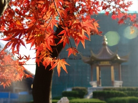 南京航空航天大学——新中国自己创办的第一批航空高等院校之一