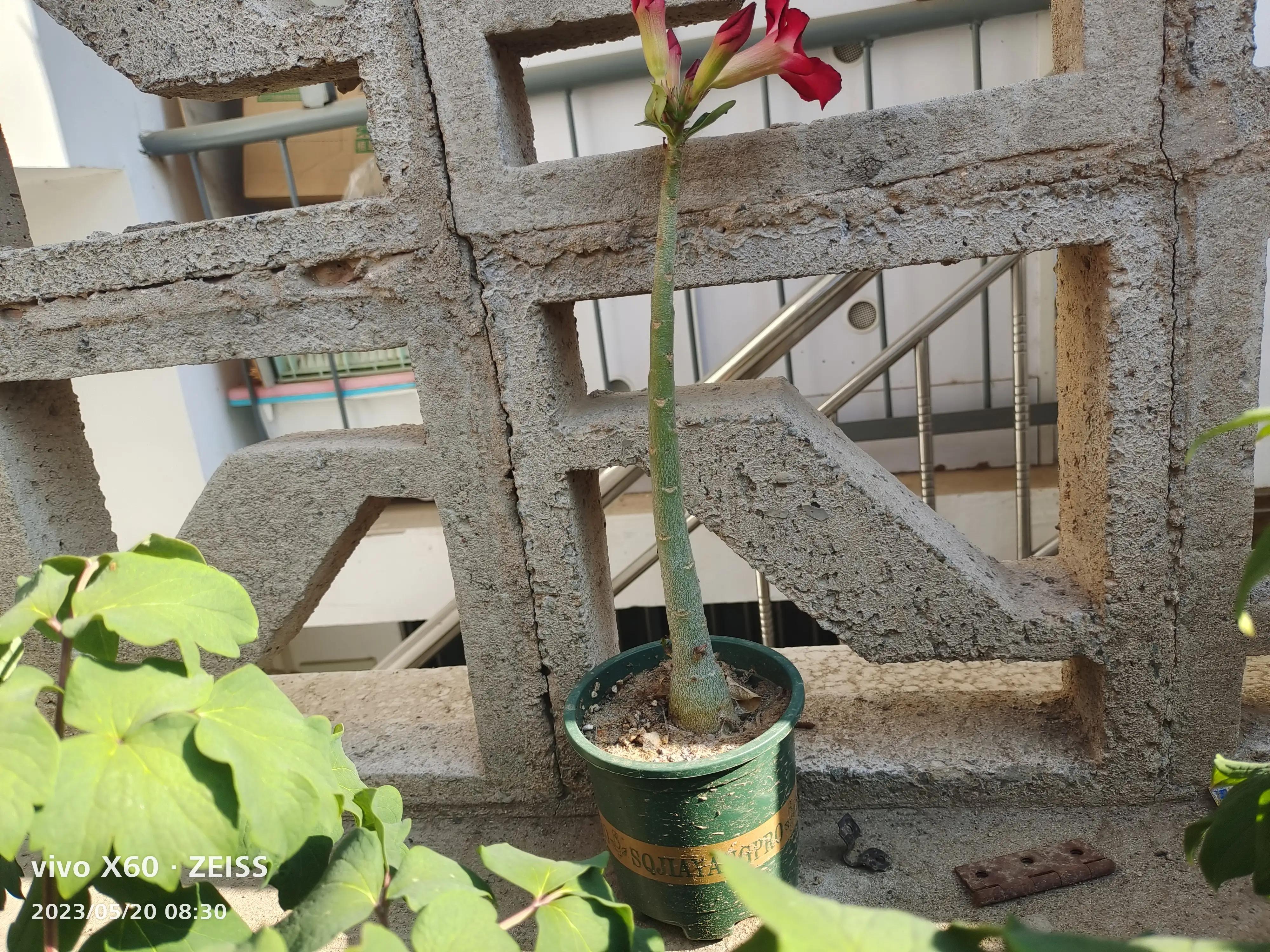 冤枉老公道歉怎么说,冤枉老公了又没勇气道歉怎么办