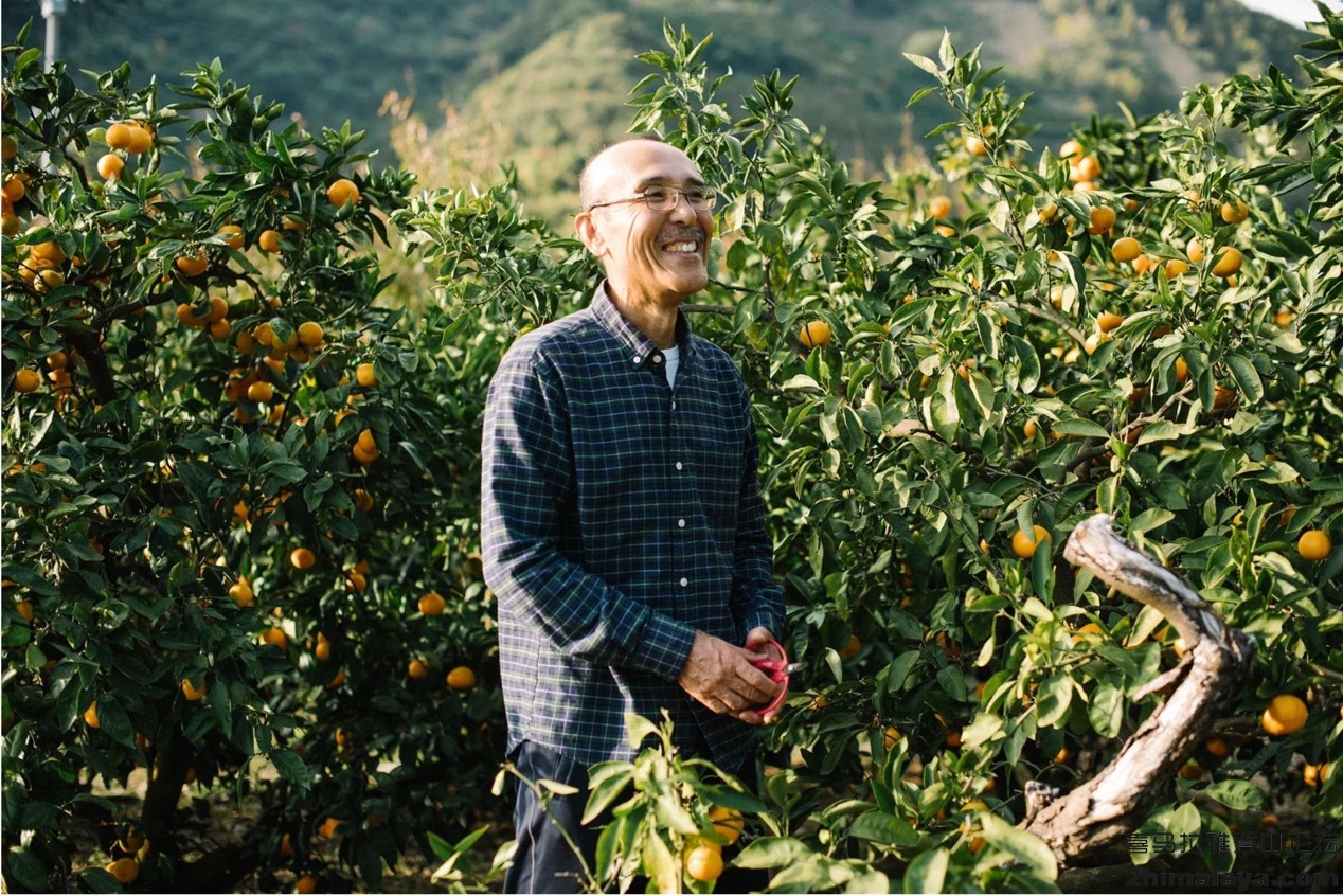 [日]与本宫地区最后一名修玄道僧侣徒步远古的日本朝圣之路