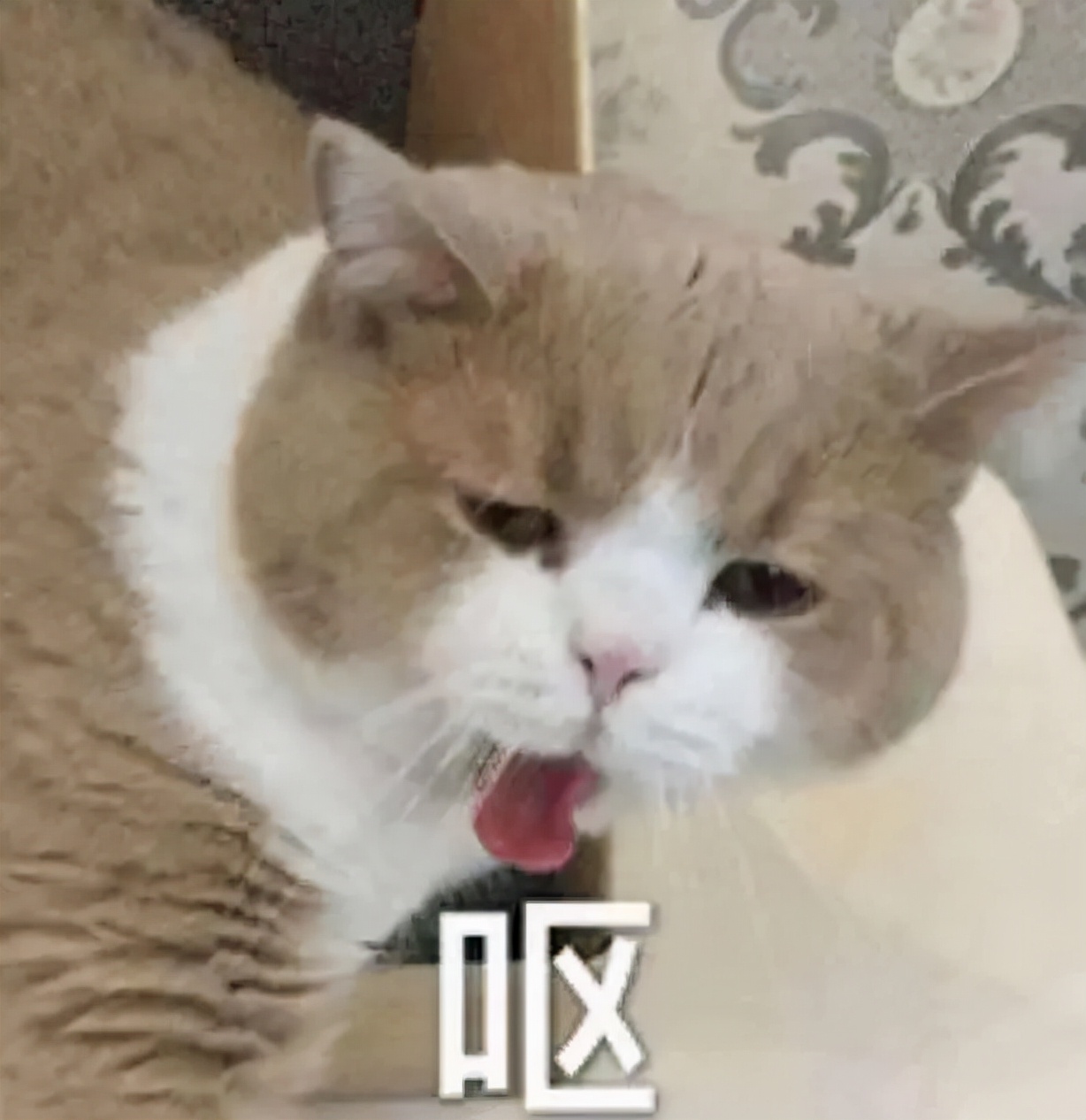 看完“315晚会”，我晒干了沉默……