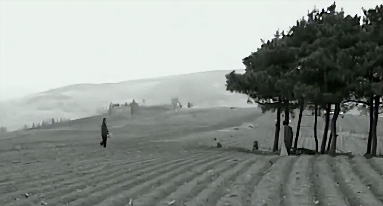 吉林农妇好心收养毒蛇,吉林农夫好心救了一条毒蛇