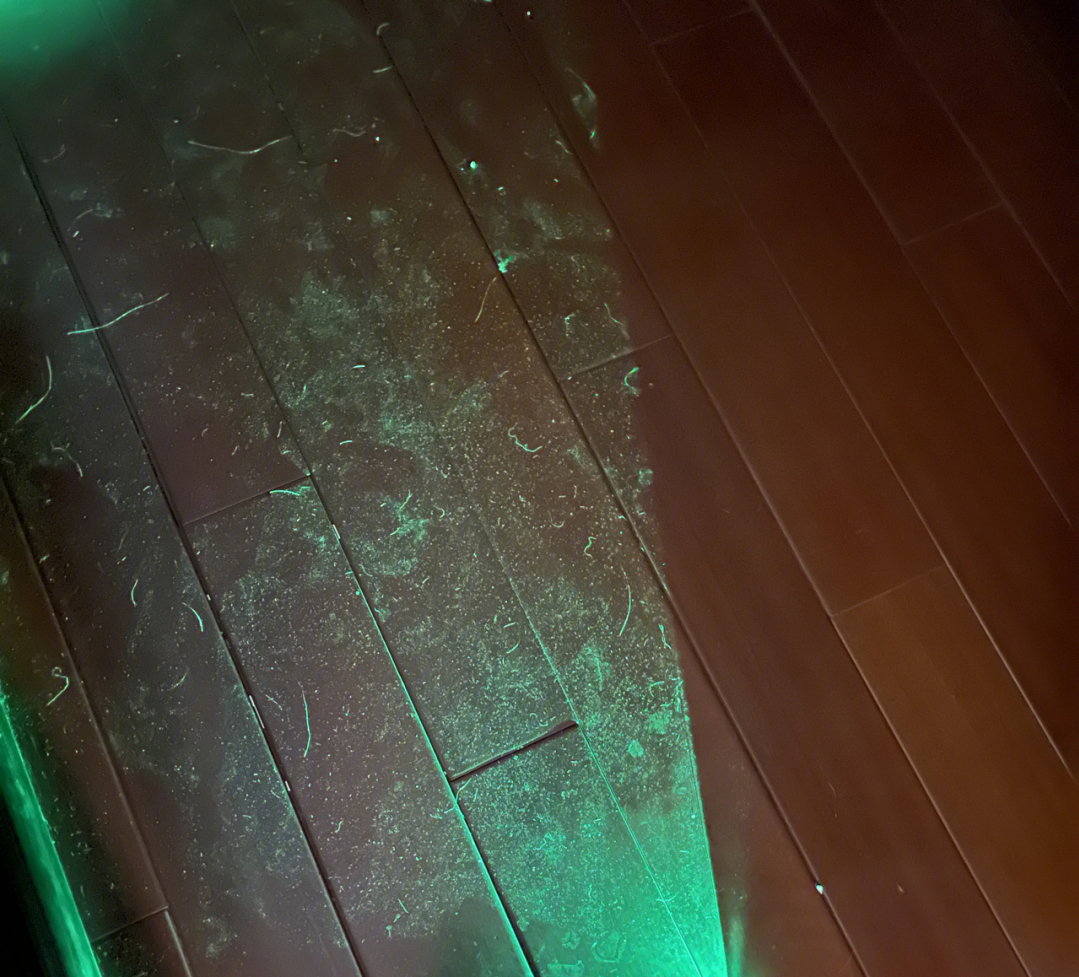 家里去毛絮小妙招,为什么家里的毛絮有很多