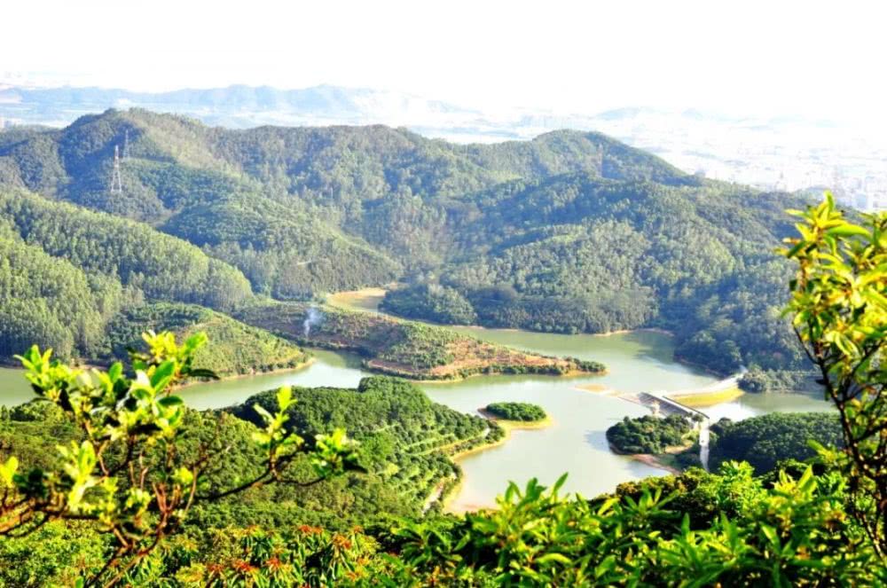 借问疫情何处去，根哥遥指大岭山