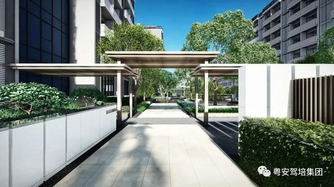 粤安驾校南沙横沥,粤安驾校荔湾