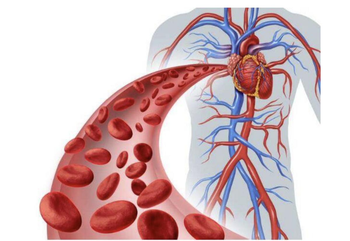 男性的乳头有啥作用,男性乳头的作用是什么