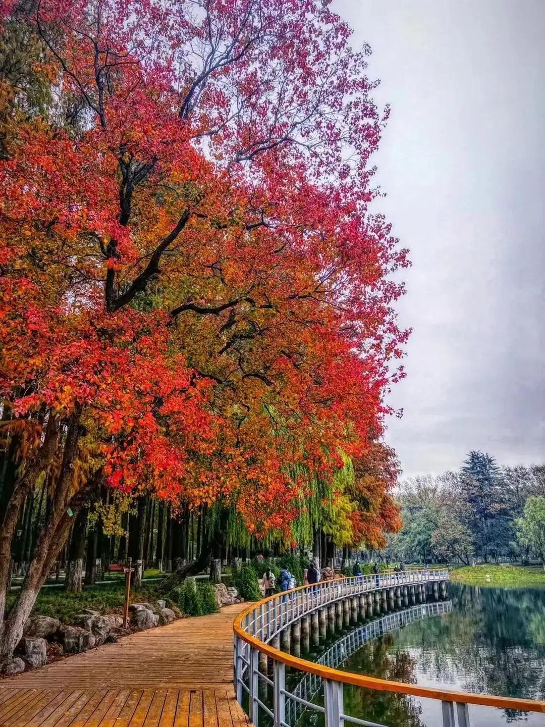 最好的投资是少看小事,好的投资标的
