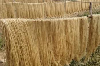 全国品牌好品质红薯粉条,真正品质好纯红薯粉条一斤多少钱