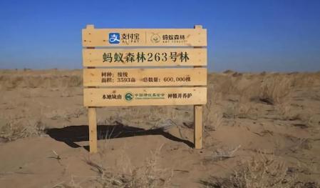 阿里蚂蚁森林怎么赚钱的,蚂蚁森林真的是阿里巴巴掏钱吗